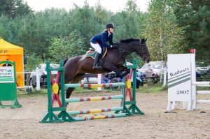 Koń skacze przez przeszkody