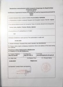 Transport Koni Trójmiasto Equi-Pet