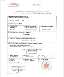 Transport Koni Trójmiasto Equi-Pet