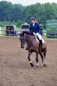 Koń na zawodach skokowych Trójmiasto