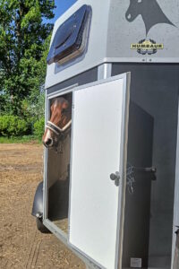 Koń w przyczepie czekający na transport Trójmiasto