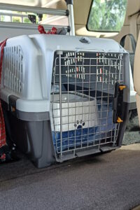 Transporter dla kota Trójmiasto