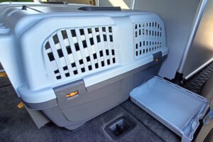 Transporter dla kota Trójmiasto