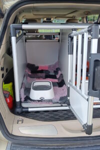 Kontener do przewozu psów Trójmiasto