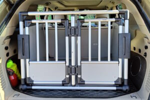 Transporter dla psów Trójmiasto