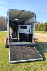 Przyczepa Ifor Williams Transport Koni Trójmiasto