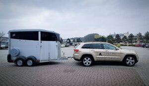 Transport Koni Trójmiasto Ifor Williams