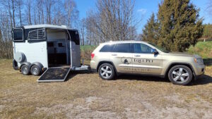 Transport Koni Trójmiasto Ifor Williams przyczepa