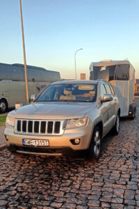 Transport Koni Trójmiasto